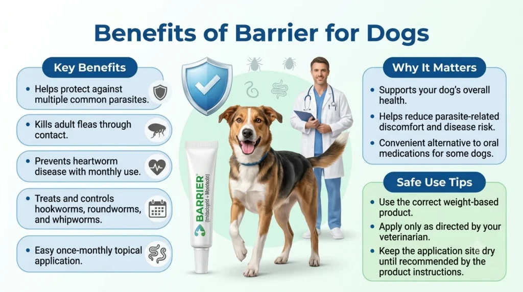 Benefits of Barrier for Dogs