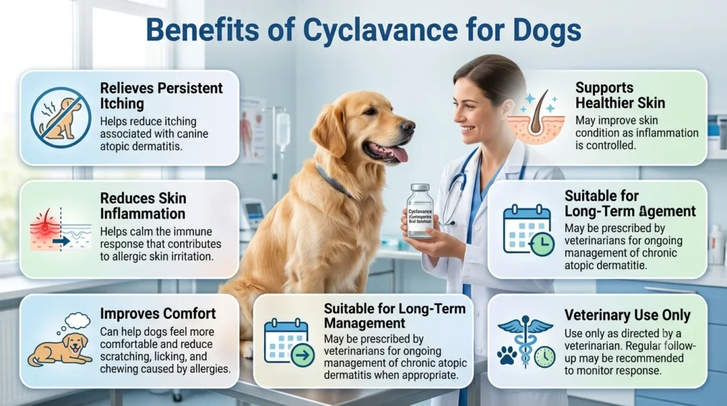 Cyclavance Dosage For Dogs: Calculator & Safe Guide 2 Benefits of Cyclavance for Dogs