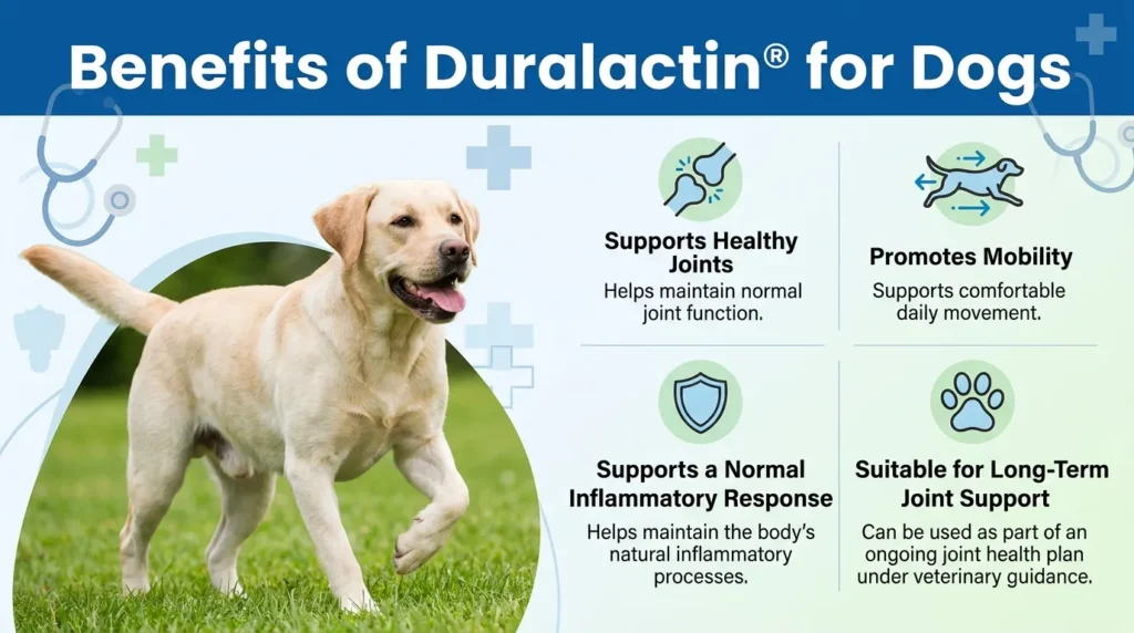 Benefits of Duralactin® for Dogs
