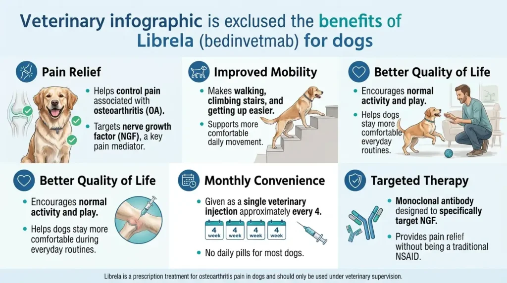 Benefits of Librela for Dogs