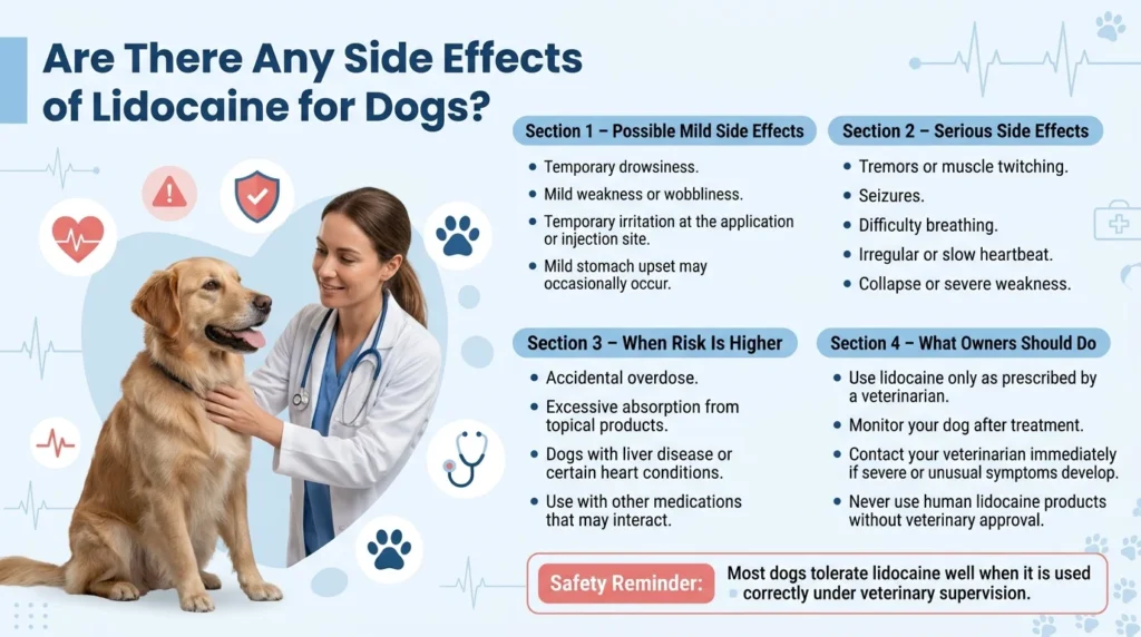 Lidocaine Dosage For Dogs: Calculator & Safe Dosage Guide 3 Are There Any Side Effects Of Lidocaine For Dogs?