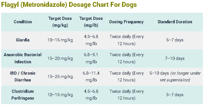 Flagyl Dosage For Dogs: Calculator & Safe Dosage Guide 4 Flagyl (Metronidazole) Dosage Chart For Dogs