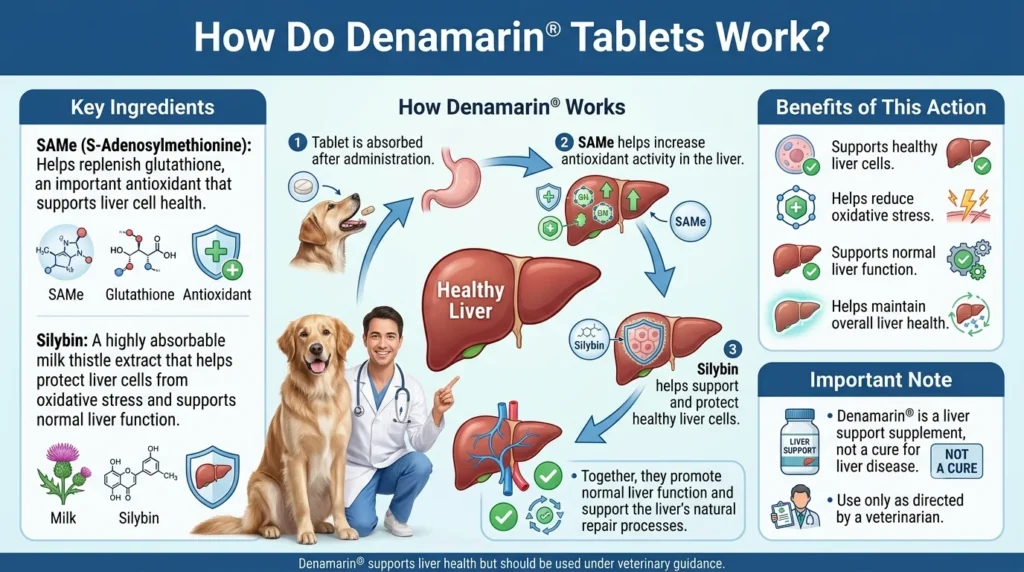 How Do Denamarin Tablets Work