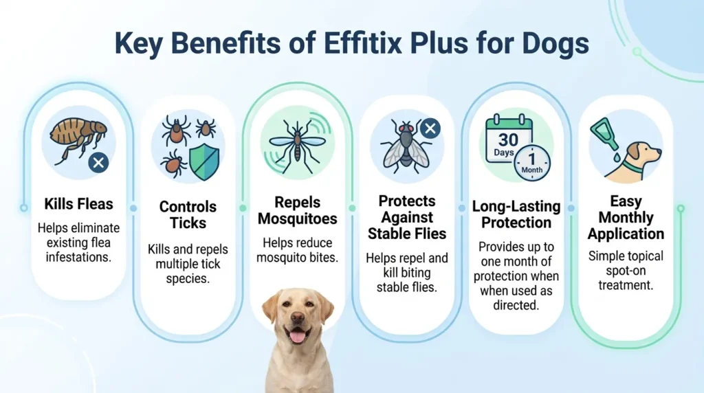 Effitix Dosage For Dogs: Calculator, Chart & Safe Guide 2 Key benefits of Effitix Plus For Dogs