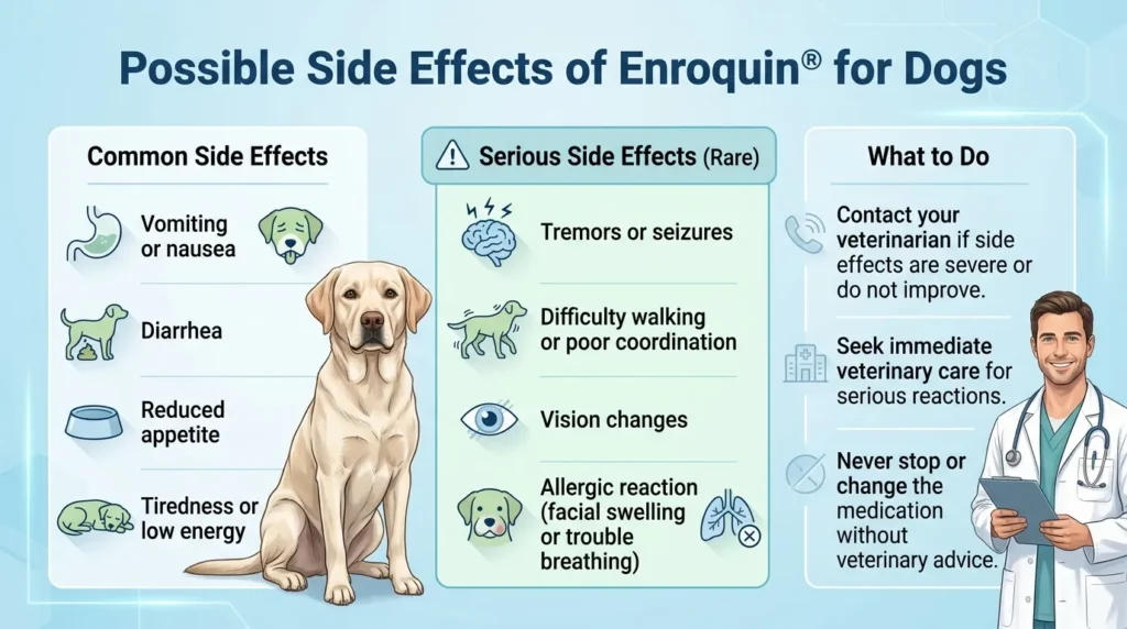 Possible Side Effects of Enroquin for Dogs