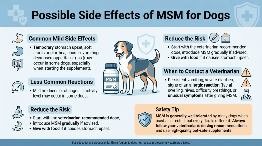 (MSM) Methylsulfonylmethane Dosage For Dogs: Calculator & Safe Guide 2 Possible Side Effects of MSM for Dogs