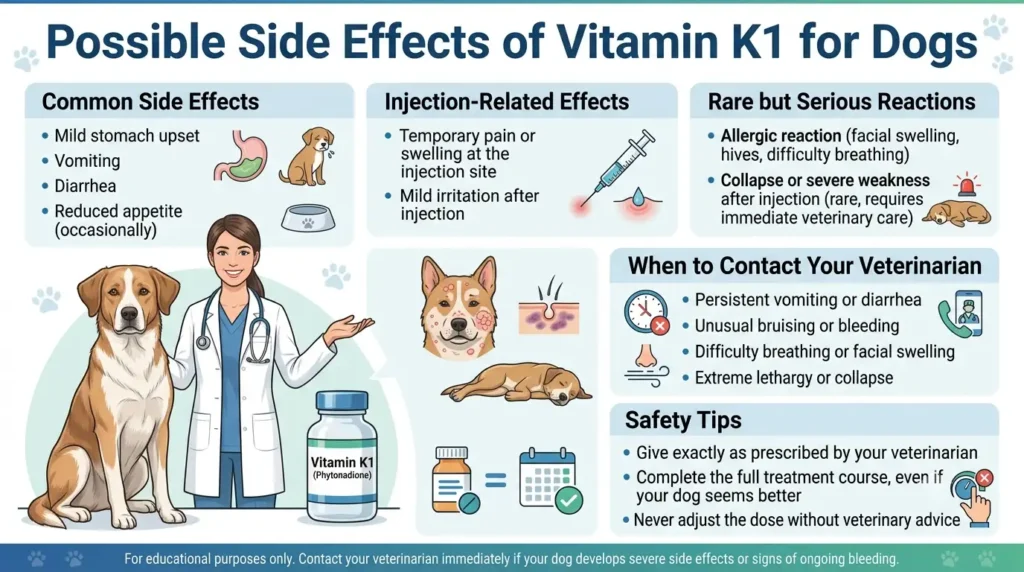 Possible Side Effects of Vitamin K1 for Dogs