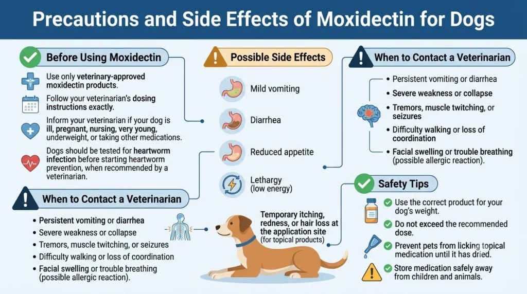 Precautions and Side Effects of Moxidectin for Dogs