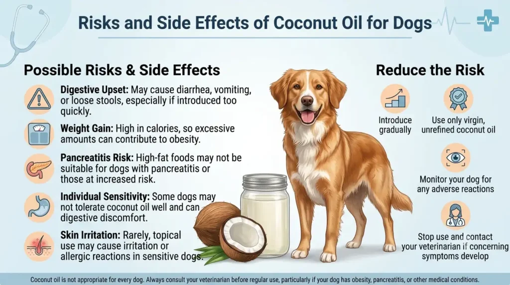 Coconut Oil Dosage for Dogs: Safe Guide & Calculator 3 Risks and Side Effects of Coconut Oil for Dogs