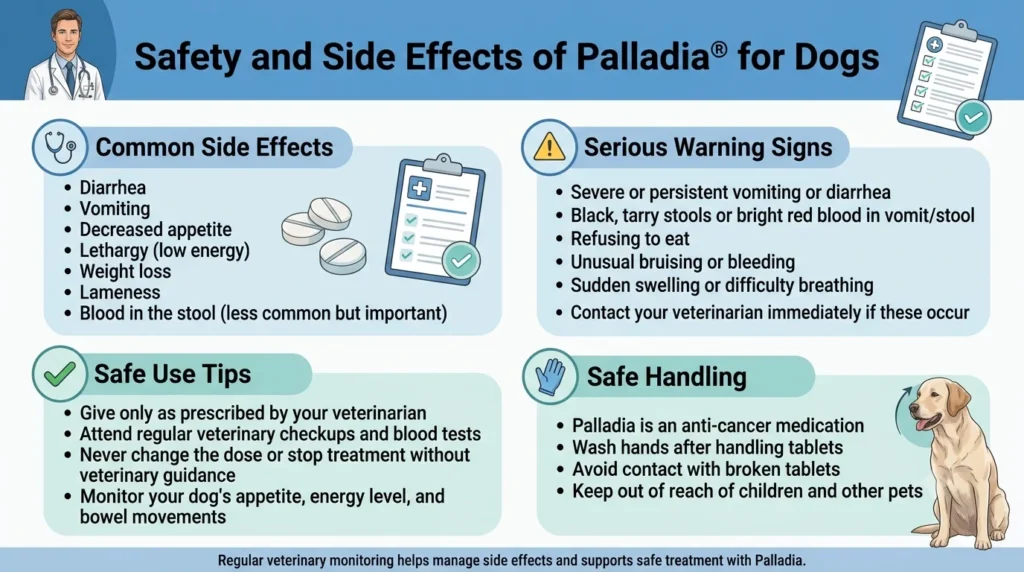 Safety and Side Effects of Palladia for dogs