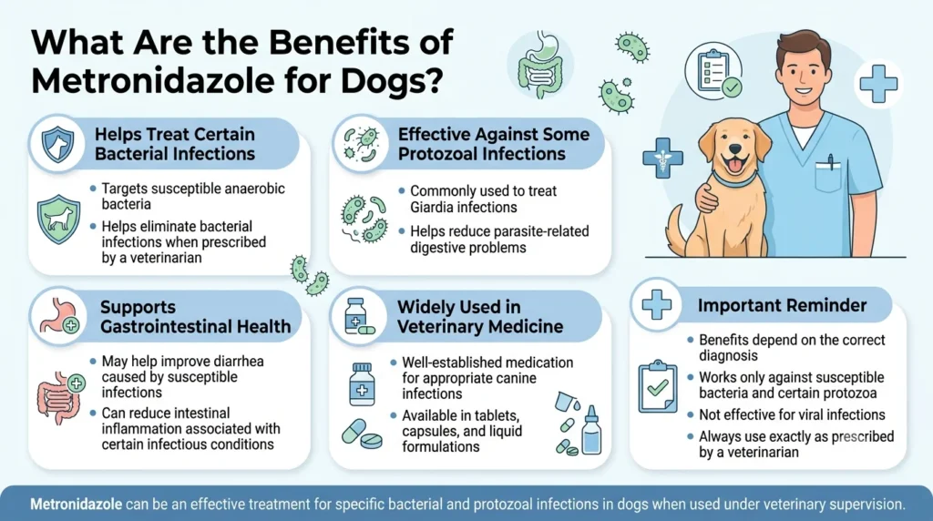 Flagyl Dosage For Dogs: Calculator & Safe Dosage Guide 2 What Are the Benefits of Metronidazole