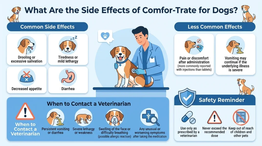 Comfor-Trate Dosage For Dogs: Calculator & Safe Guide 2 What Are the Side Effects of Comfor-Trate for Dogs