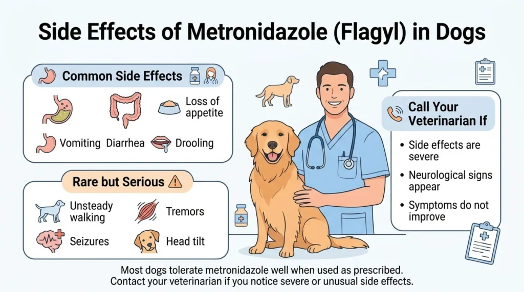 Flagyl Dosage For Dogs: Calculator & Safe Dosage Guide 3 What Are the Side Effects of Metronidazole in Dogs