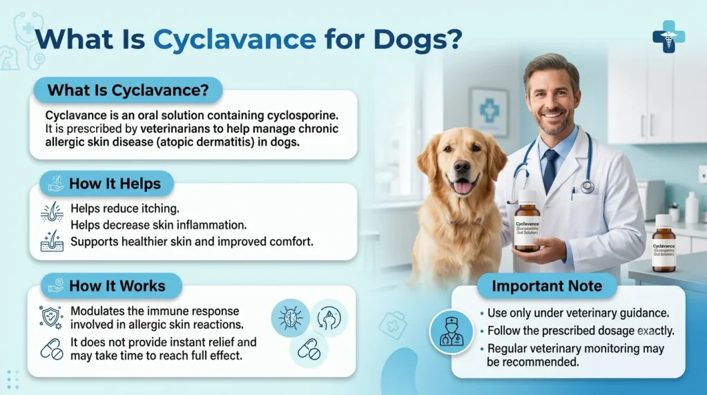 Cyclavance Dosage For Dogs: Calculator & Safe Guide 1 What Is Cyclavance Dosage for Dogs