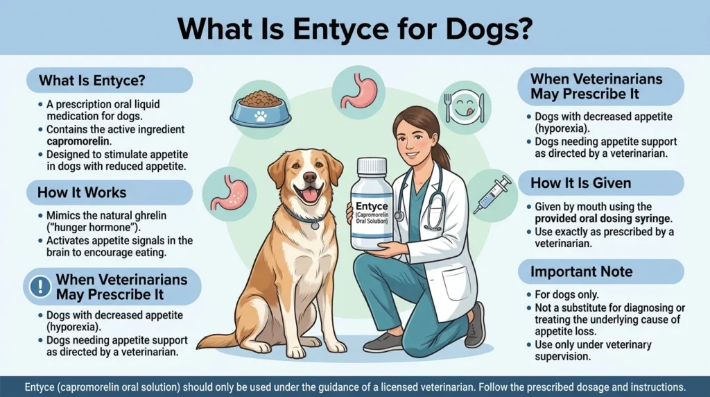 What Is Entyce Dosage for Dogs