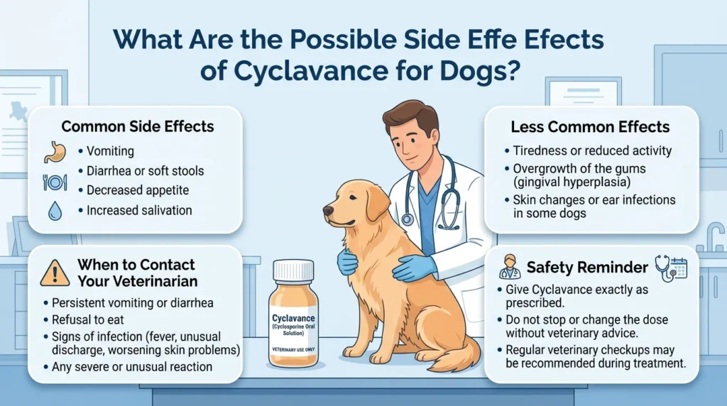 Cyclavance Dosage For Dogs: Calculator & Safe Guide 3 What are the possible side effects of Cyclavance