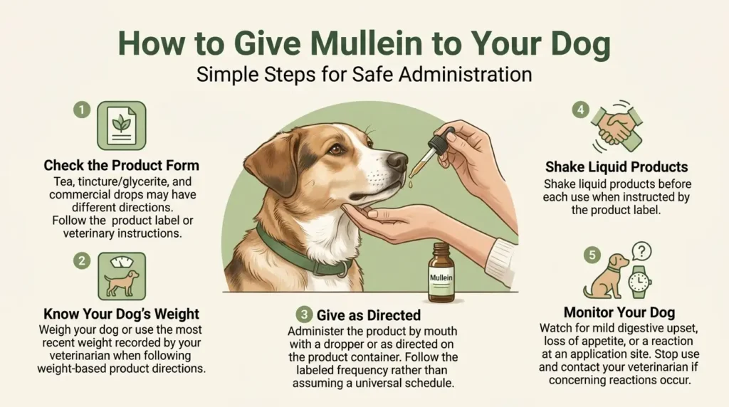 How to Give Mullein to Your Dog