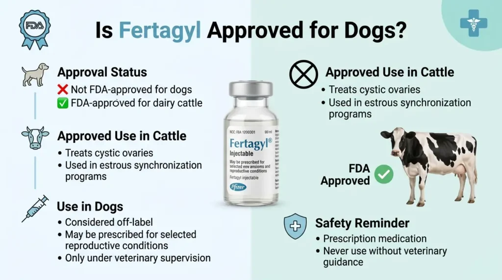 Fertagyl Dosage For Dogs: Calculator, Chart & Safe Guide 2 Is Fertagyl Approved for Dogs