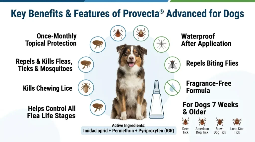 Provecta Advanced Dosage For Dogs: Calculator & Safe Guide 2 Key Benefits & Features Of Provecta® Advanced For Dogs