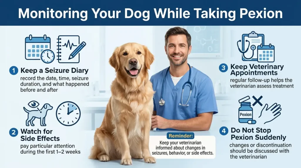 Monitoring While Your Dog Is on Pexion