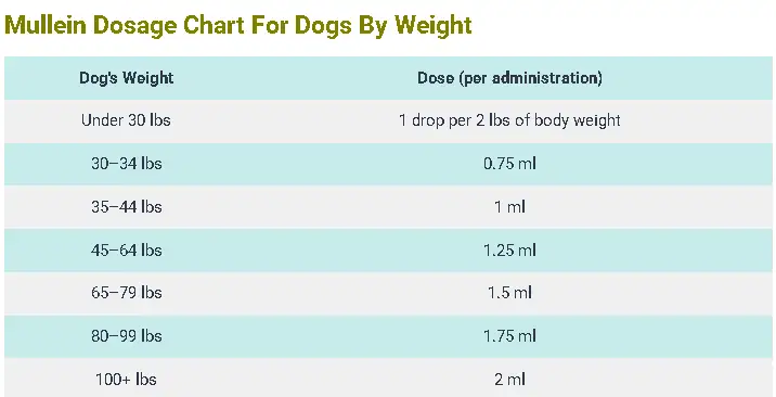 Mullein Dosage Chart For Dogs By Weight