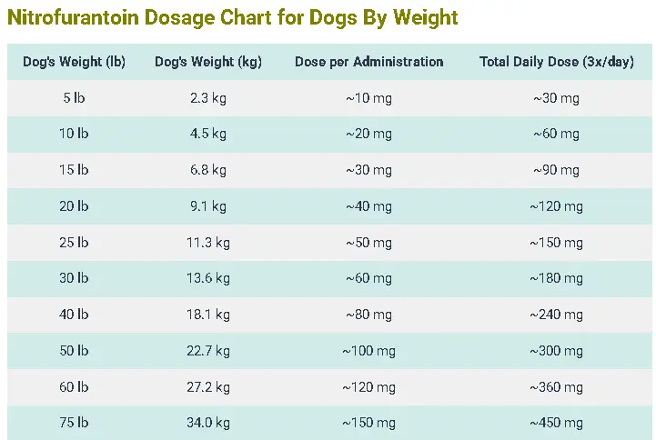 Nitrofurantoin Dosage Chart for Dogs By Weight