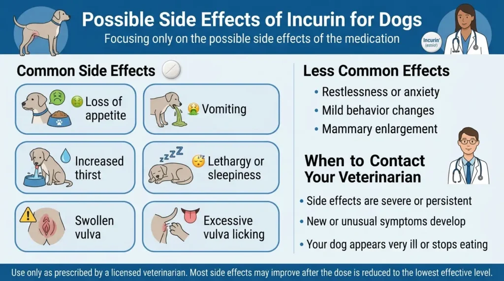 Possible Side Effects of Incurin for Dogs