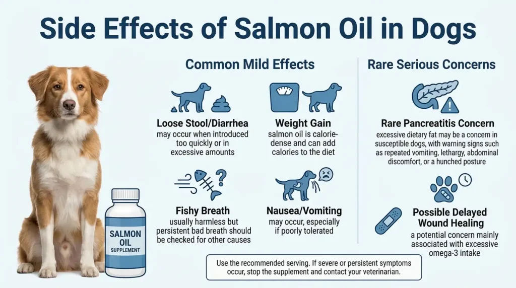 Side Effects Of Salmon Oil In Dogs