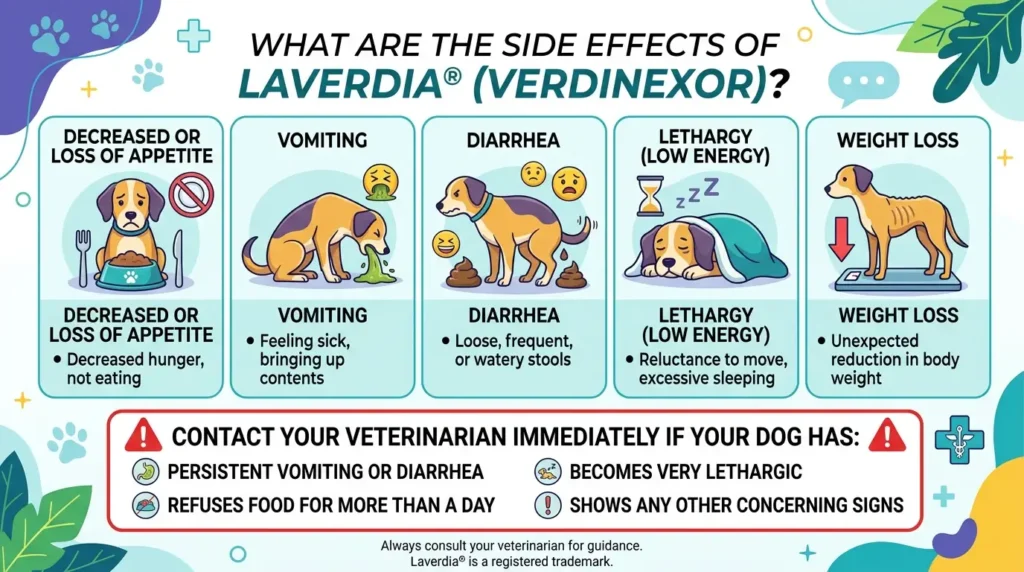 Laverdia Dosage For Dogs: Calculator, Chart & Safe Guide 3 What Are the Side Effects of Laverdia