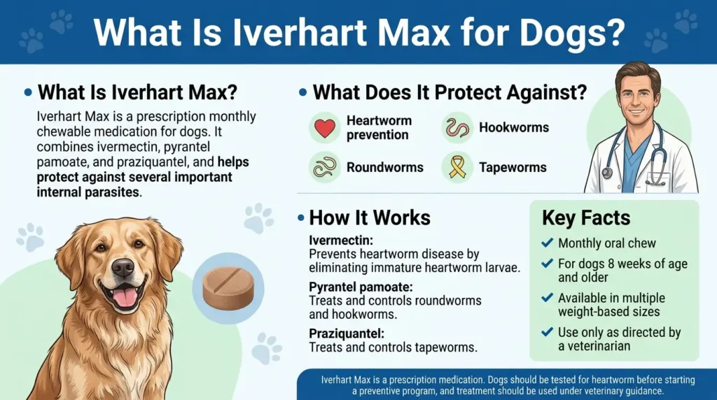 What is Iverhart Max for dogs